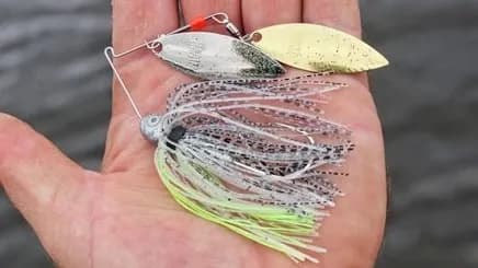 Spinnerbait